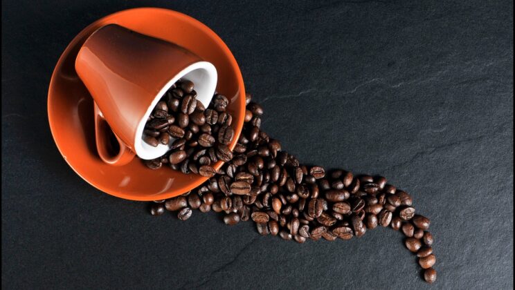 Science-Backed Facts About Coffee You Need to Know
